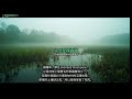 會吃肉的植物！捕蠅草的秘密｜🌱 蝦稿植物園 EP4