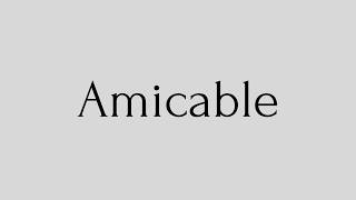 Amicable – Meaning, Synonyms and Examples