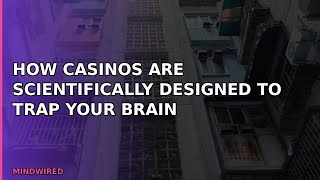 How Casinos Are Scientifically Designed to Trap Your Brain