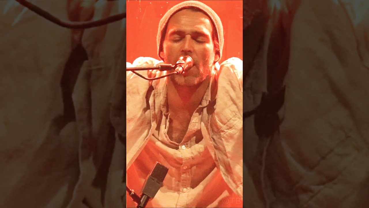 🇧🇷 O swing do Rogê! The King of Samba-Funk live. 