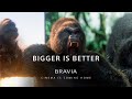 Bigger is Better|BRAVIA 2025 | Sony Official