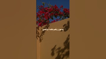 ﴿واصبر نفسك مع الذين يدعون ربهم بالغداة والعشي يريدون وجهه﴾ | سورة الكهف | الشيخ علي جابر