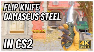 ★ CS2 Flip Knife Damascus Steel | CS2 Knife In-Game Showcase [4K] screenshot 3