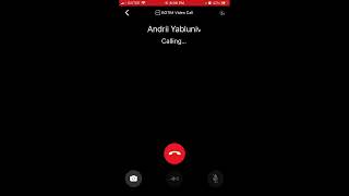 How to start Audio or Video call in BOTIM app? screenshot 5