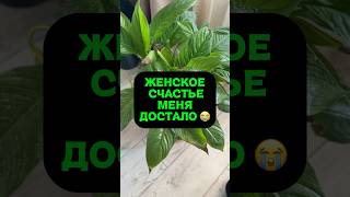 СПАСЕНИЕ ДЛЯ РАСТЕНИЙ 🌱🌺Артикул  на удобрение 320485363 (wb)