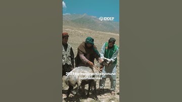 #Afganistan Meydan Vardak şehrinde kurban alımlarımız gerçekleştirildi