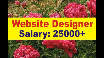 Online web design course | website designing course training Institute with low course fees in India