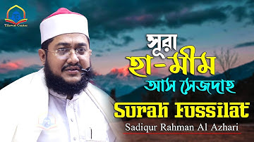 Surah Fussilat ayat 3 | Surah Ha Mim As Sajadh | سورة فصلت | Sadiqur Rahman Azhari | Tilawat