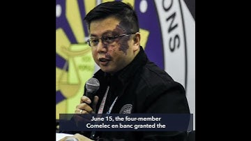 Comelec OKs Rowena Guanzon’s party-list substitution bid