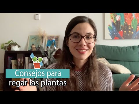 Vídeo: Com Triar Una Regadora Per Regar Flors D’interior?