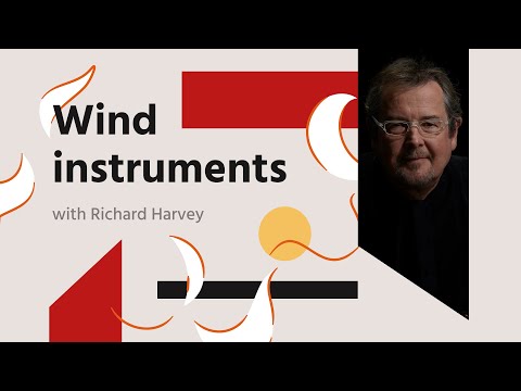 Phoenix Orchestra Wind Instruments With Richard Harvey 