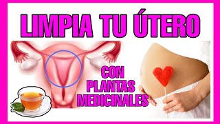 COMO LIMPIAR TU MATRIZ EN LA MENSTRUACIÓN Y QUEDAR MAS RÁPIDO EMBARAZADA/# EMBARAZO RÁPIDO