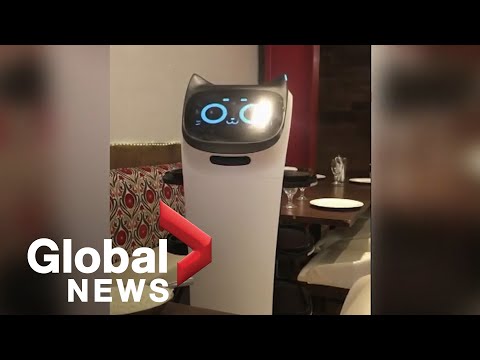 BC restaurants seek robotic help during labour shortage