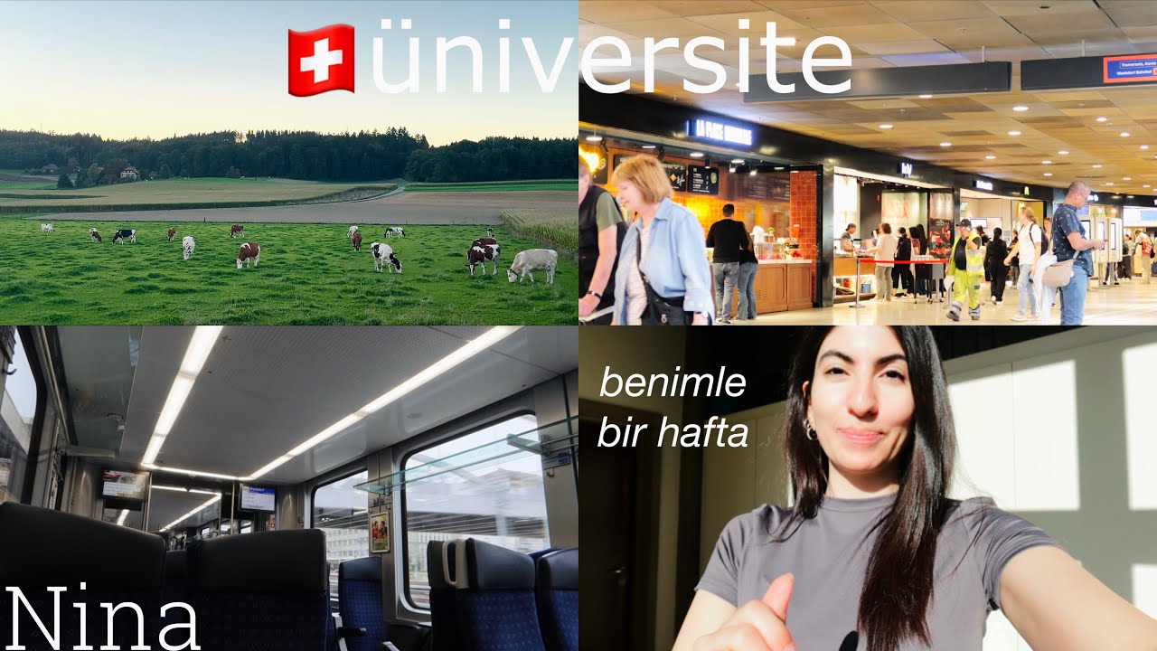 Simülasyona geri dönüş | İsviçre’de öğrenci hayatım | Odamı yenileyelim