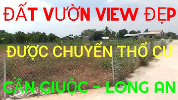 (Ms 198♥️Đã Bán) 500m2 Đất Vườn Cực Đẹp, 2 Mặt Tiền, Đường Ô Tô Phước Hậu, Cần Giuộc | Bđs Long An