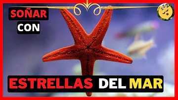 ¿Qué significa dormir como una estrella de mar?