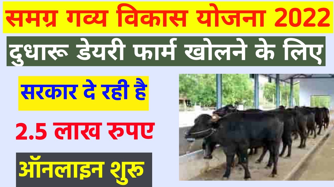 Bihar Samgra Gavya Vikas Yojana 2022 / Dairy Farm Subsidy Online Bihar