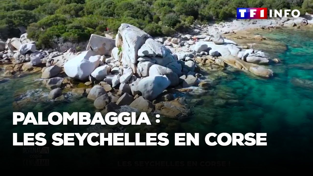 Palombaggia : les Seychelles en Corse