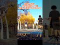 外国の若者たちに混じって突然４５歳がダンクしたら⁉️代々木公園　 #shorts #dunk #ダンク #ダンクチャレンジ #最高到達点 #リングジャンプ #バスケ #basketball