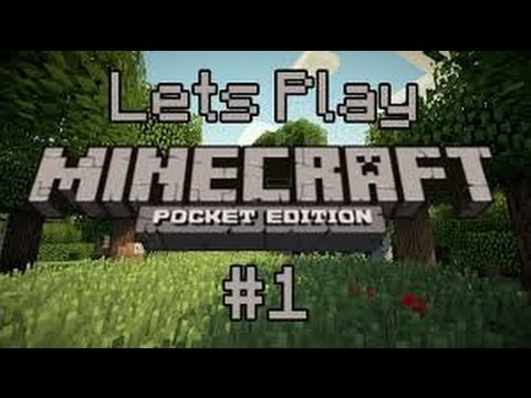 My Minecraft PE survival world tour |The Gamer Girl - YouTube
