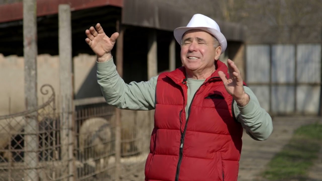 Uzgoj MANGULICA u Kovilju - U nasem ataru 1087