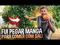 FUI PEGAR MANGA PARA COMER COM SAL E DEU RUIM !!