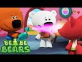 Be Be Bears 🐻🐨 The memory eraser 💣 Cartoons Collection 💙 Moolt Kids Toons Happy Bear