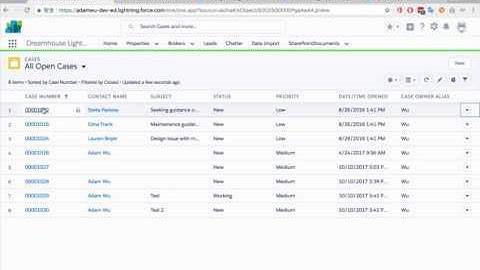 Change Case Owner in Lightning List View