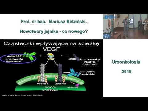 Wideo: Markery Oporności Na Inhibitor MEK W Niskim Stopniu Surowiczego Raka Jajnika: EGFR Jest Potencjalnym Celem Terapeutycznym