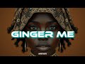 FREE Afrobeats Instrumental GINGER ME Prod Jnr