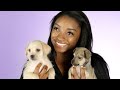 Simone Biles Plays With Puppies While Answering Fan Questions