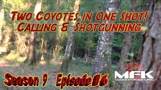 Two Coyotes In One Shot Calling & Shotgunning S9E6