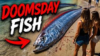The “Doomsday Fish” Just Appeared AGAIN… This Fish NEVER Comes to the Surface… Until NOW