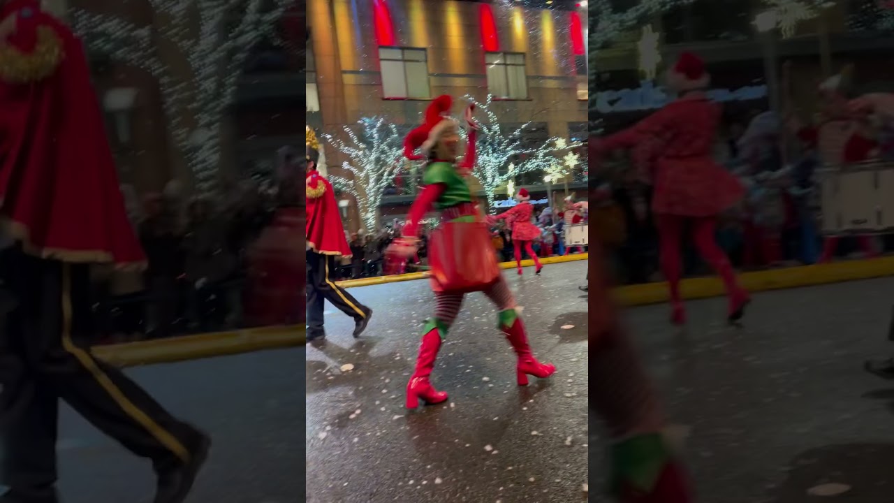 Snowflake Lane in Bellevue-3-2025.#725