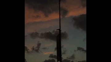 حالات واتس||القارئ/ماهر المعيقلي||سورة/الطلاق||تصاميم قران||انستقرام||استوري||