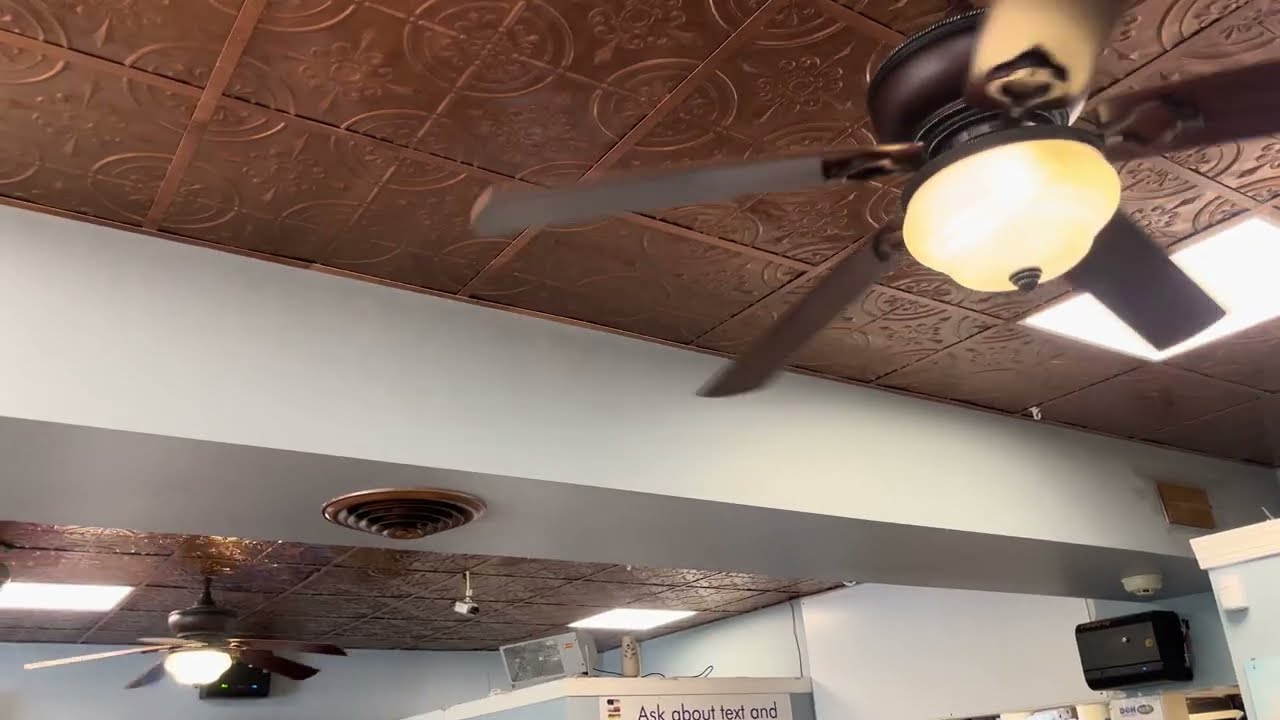 Hampton Bay Clarington ceiling fans (1-2 of 4)