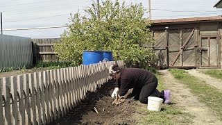 Семья из Казахстана.Сажаю цветы.Огородные дела.Довольна покупкой.Простые будет.