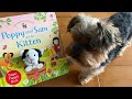 Poppy and Sam and the kitten - Finger puppet book for kids