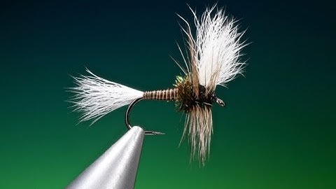 Tying the H & L Variant with Barry Ord Clarke