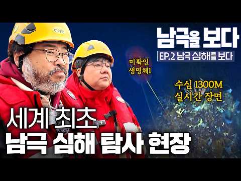 빛도 없는 심해에서 생명체가 발광하게 진화한 이유ㅣ 남극을 보다 EP.2