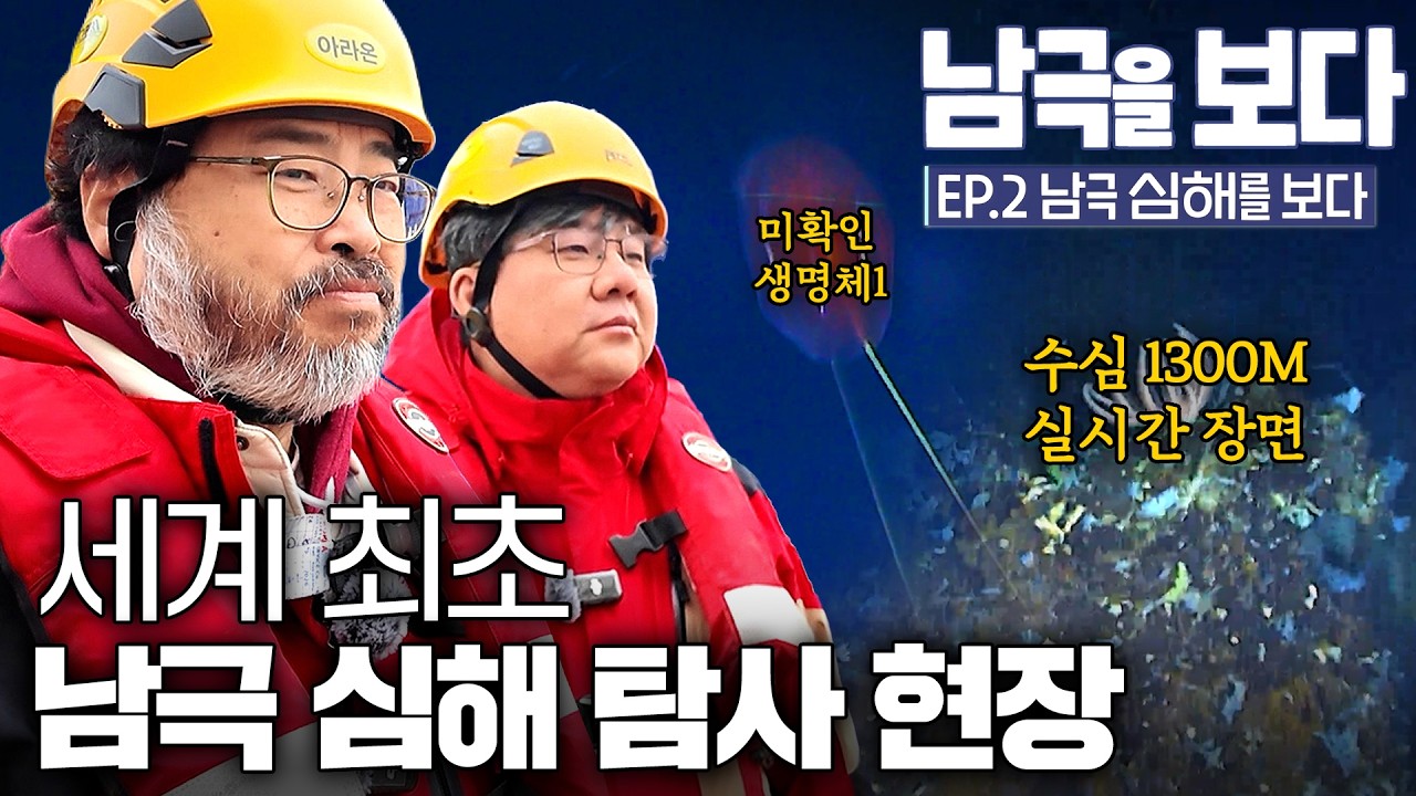 남극 심해, 인류가 단 한 번도 보지 못한 '무언가'가 찍혔다 ㅣ 남극을 보다 EP.2