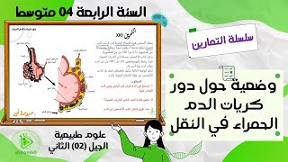 تمرين حول دور كريات الدم الحمراء في النقل علوم طبيعية سنة 04 متوسط