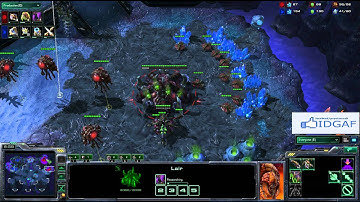 SC2 vilePsY[Z] vs [P]LGReSpOnSe