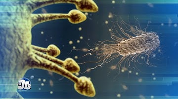 The Concerning Antibiotic-Resistant Superbugs You Need to Know About