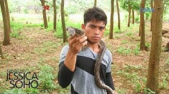 Kapuso Mo, Jessica Soho: King Cobra Hunter ng Compostela Valley