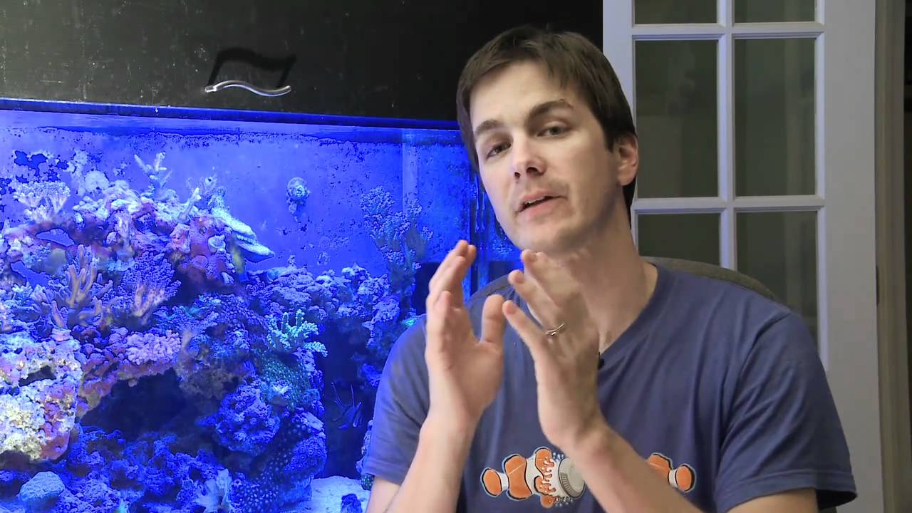 how to videos on tiktok Mr. Saltwater Tank TV Friday AM Quick Tip #14: Match it Up