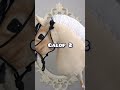 Ton galopton hobby horse