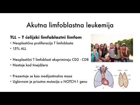 Video: Leukemija (akutna) Kod Pasa