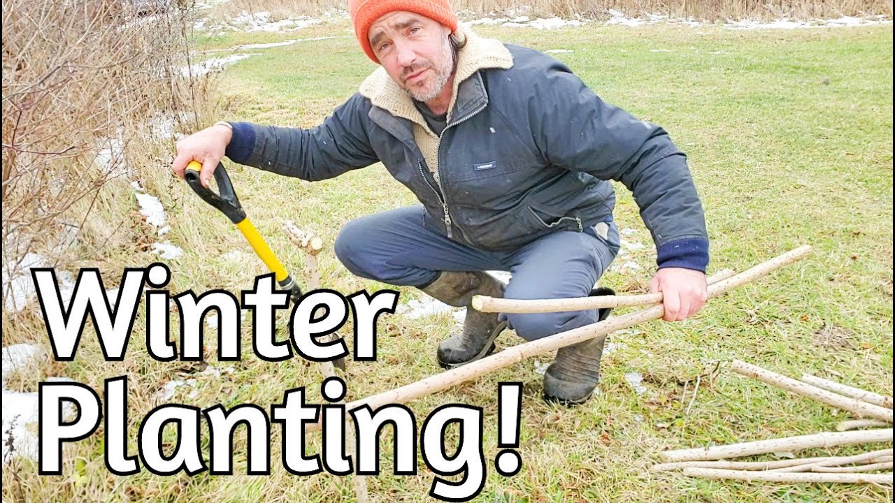 Зимняя посадка! Подробно о новом саду