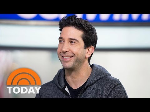 David Schwimmer On New Videos To Raise Awareness Of Sexual ...